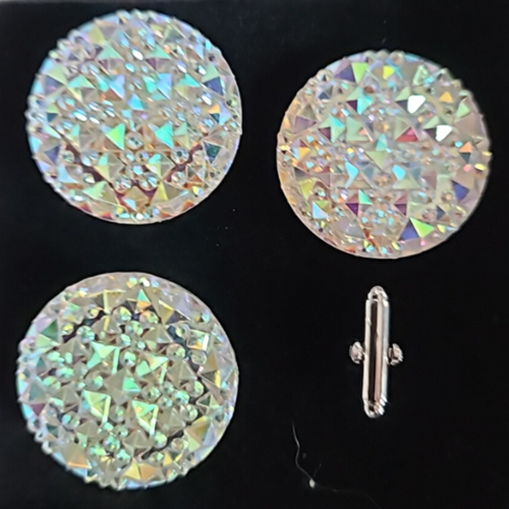 Blanket Pin Number Holder Horse Show Number Set Aurora Borealis